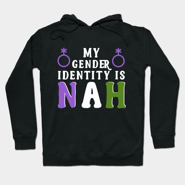 My Gender Identity is Nah Queer Pride Hoodie by HamilcArt